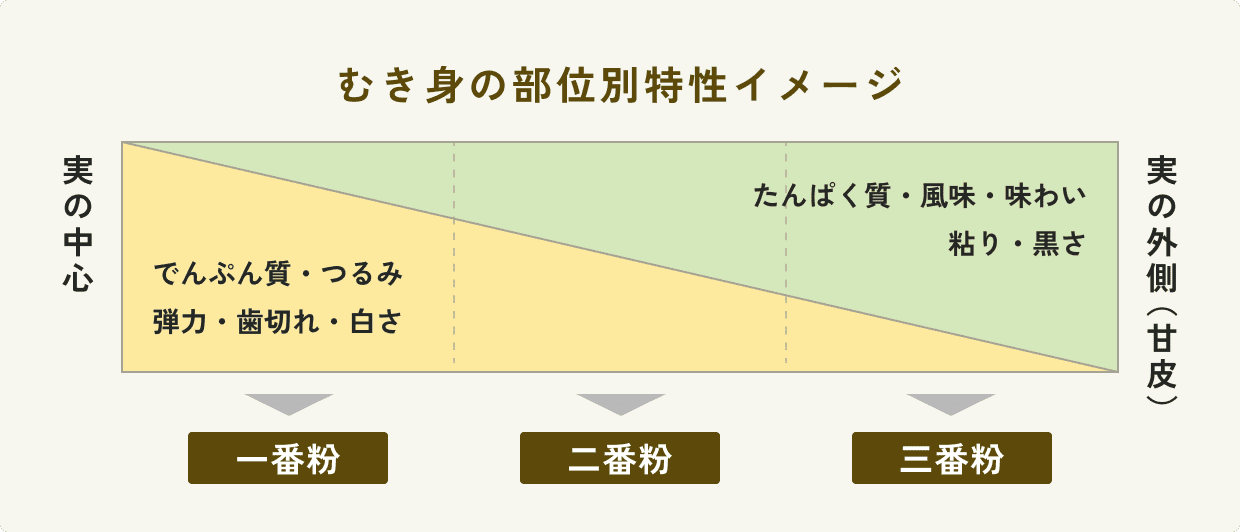 むき身の部位別特性イメージ